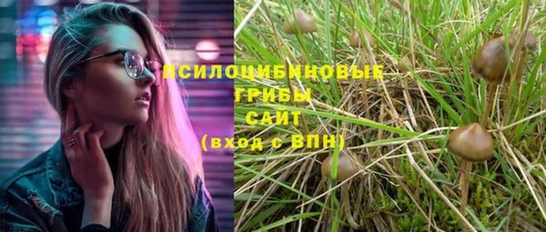 прущие крисы Вязники