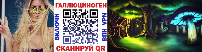 ссылка на мегу как войти Жиздра Псилоцибиновые грибы Cubensis